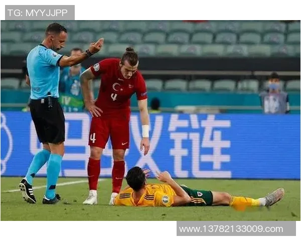 蚂蚁与足球明星球员的奇妙碰撞探索他们的成长与奋斗故事