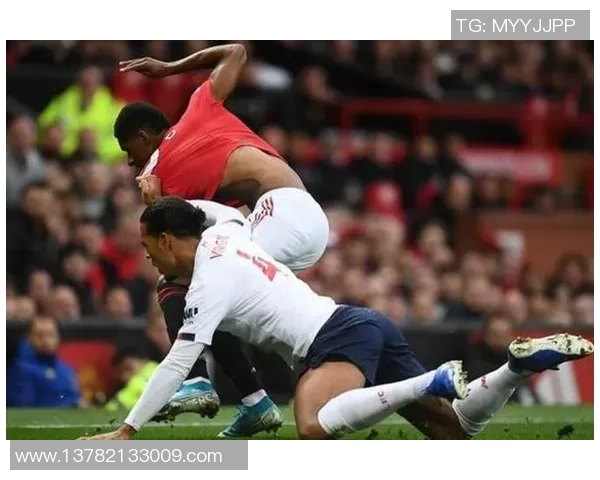 西安排球队战术引发热议球迷与专家观点大相径庭 西安排球队战术引发热议球迷与专家观点大相径庭