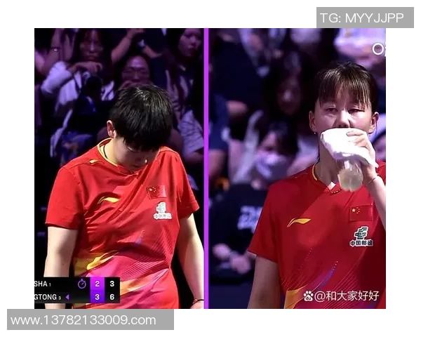 西安乒乓球队战术解析与发展策略探讨之聚焦乒乓球