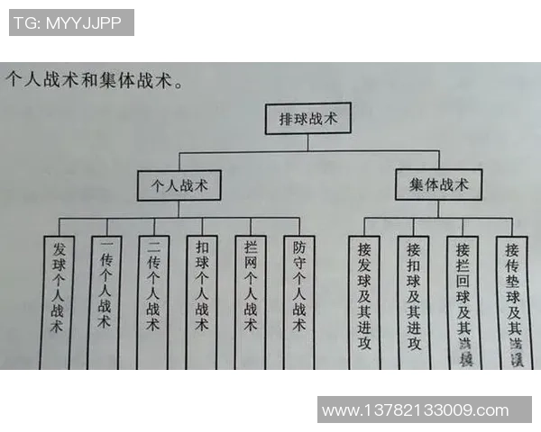 西安排球队个人能力分析与排球战术的深度结合探讨 西安排球队个人能力分析与排球战术的深度结合探讨