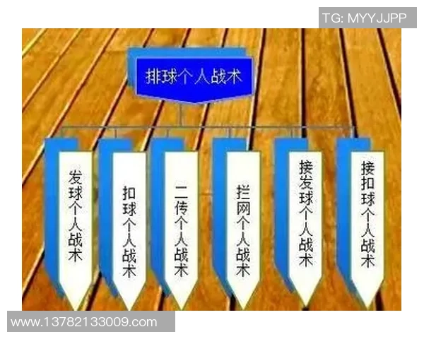 西安排球队的快速进攻策略与战术分析探讨