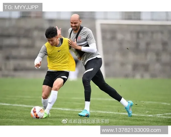 西安羽毛球队与成都羽毛球队赛后战术分析与对比探讨